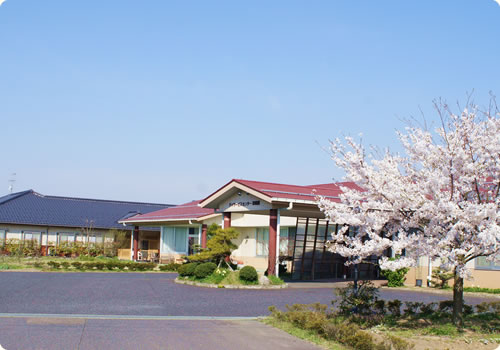 季節毎にたくさんのお花が花開きます