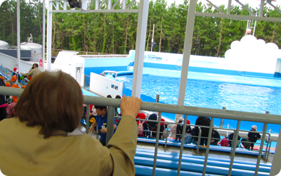 全員参加で水族館に行く